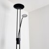 Abiqua Staande lamp LED Zwart, 2-lichts
