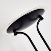 Abiqua Staande lamp LED Zwart, 2-lichts