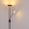 Abiqua Staande lamp LED Zwart, 2-lichts