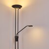 Abiqua Staande lamp LED Zwart, 2-lichts