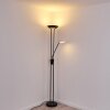 Abiqua Staande lamp LED Zwart, 2-lichts