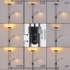 Abiqua Staande lamp LED Zwart, 2-lichts
