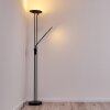 Abiqua Staande lamp LED Zwart, 2-lichts