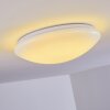 Brighton Plafondlamp LED Wit, 1-licht, Afstandsbediening, Kleurwisselaar
