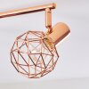 Palmira Plafondlamp Koperkleurig, 4-lichts