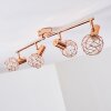 Palmira Plafondlamp Koperkleurig, 4-lichts
