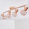 Palmira Plafondlamp Koperkleurig, 4-lichts
