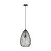 Eglo CLEVEDON Hanger Zwart, 1-licht