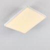 Bankura Plafondlamp LED Wit, 1-licht