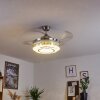 Bendigo plafondventilator LED Nikkel mat, Transparant, Helder, 1-licht
