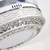 Bendigo plafondventilator LED Nikkel mat, Transparant, Helder, 1-licht