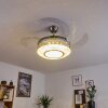 Bendigo plafondventilator LED Nikkel mat, Transparant, Helder, 1-licht