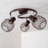 Cancún Plafond straler Bruin, 3-lichts