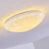 Brighton Star Plafondlamp LED Wit, 1-licht, Afstandsbediening, Kleurwisselaar