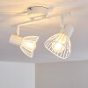 Holbol Plafondlamp Wit, 2-lichts