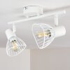 Holbol Plafondlamp Wit, 2-lichts
