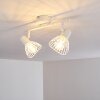 Holbol Plafondlamp Wit, 2-lichts