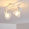 Holbol Plafondlamp Wit, 2-lichts