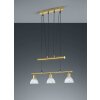 Trio LEVISTO Hanglamp LED Messing, 3-lichts