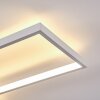 Hagenberg Plafondlamp LED Wit, 1-licht