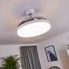 Bendigo plafondventilator LED Chroom, Transparant, Helder, Wit, 1-licht