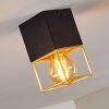 Agawam Plafondlamp Zwart, 1-licht