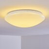 Brighton Plafondlamp LED Wit, 1-licht, Afstandsbediening, Kleurwisselaar