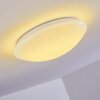 Brighton Plafondlamp LED Wit, 1-licht, Afstandsbediening, Kleurwisselaar