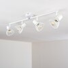 Holbol Plafondlamp Wit, 4-lichts