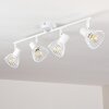 Holbol Plafondlamp Wit, 4-lichts