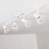 Holbol Plafondlamp Wit, 4-lichts