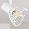 Holbol Plafondlamp Wit, 4-lichts