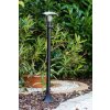 Philips myGarden CREEK Padverlichting Zwart, Transparant, Helder, 1-licht