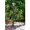 Philips myGarden CREEK Padverlichting Zwart, Transparant, Helder, 1-licht