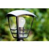 Philips myGarden CREEK Padverlichting Zwart, Transparant, Helder, 1-licht