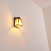 Trosa Buiten muurverlichting Zwart, 1-licht