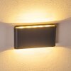 Tinglev Muurlamp LED Antraciet, 2-lichts