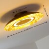 Kinosis Plafondlamp LED Goud, 1-licht