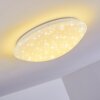 Brighton Star Plafondlamp LED Wit, 1-licht, Afstandsbediening, Kleurwisselaar