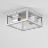 Kiwalik Buitenshuis plafond verlichting Zilver, 2-lichts