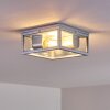 Kiwalik Buitenshuis plafond verlichting Zilver, 2-lichts