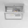 Kiwalik Buitenshuis plafond verlichting Zilver, 2-lichts