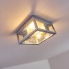 Kiwalik Buitenshuis plafond verlichting Zilver, 2-lichts