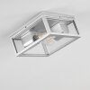 Kiwalik Buitenshuis plafond verlichting Zilver, 2-lichts
