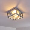 Kiwalik Buitenshuis plafond verlichting Zilver, 2-lichts