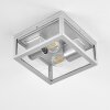 Kiwalik Buitenshuis plafond verlichting Zilver, 2-lichts