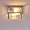 Kiwalik Buitenshuis plafond verlichting Zilver, 2-lichts