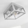 Kiwalik Buitenshuis plafond verlichting Zilver, 2-lichts