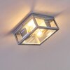 Kiwalik Buitenshuis plafond verlichting Zilver, 2-lichts