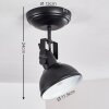 Tina Plafondlamp Zwart, 1-licht
